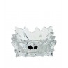 Ashtray Glacier